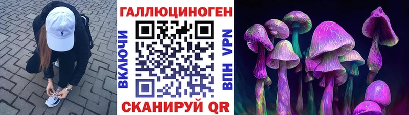 MEGA ONION  как найти наркотики  Биробиджан  Галлюциногенные грибы Cubensis 