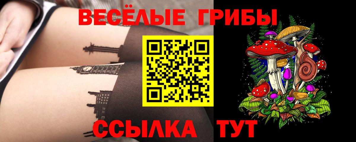 Галлюциногенные грибы Cubensis Биробиджан