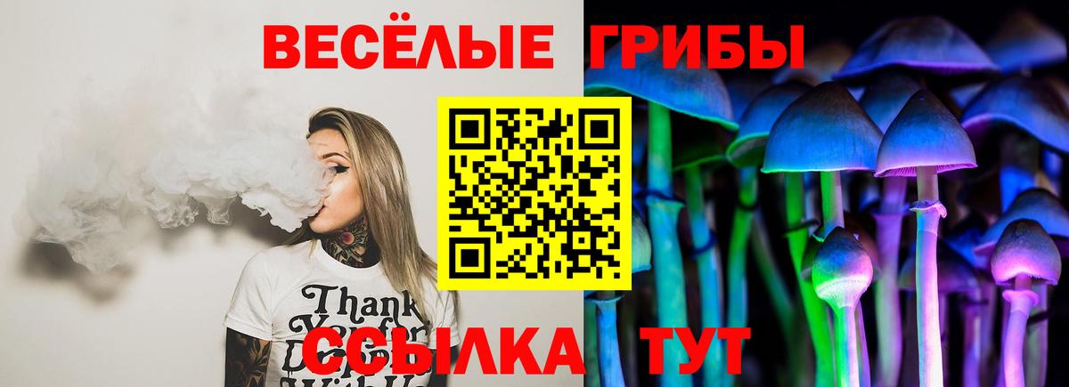 Биробиджан  Псилоцибиновые грибы прущие грибы  Галлюциногенные грибы мицелий  Вход с VPN 