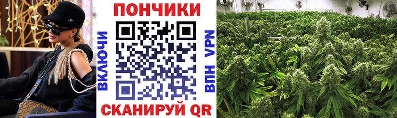 Каннабис гибрид Биробиджан